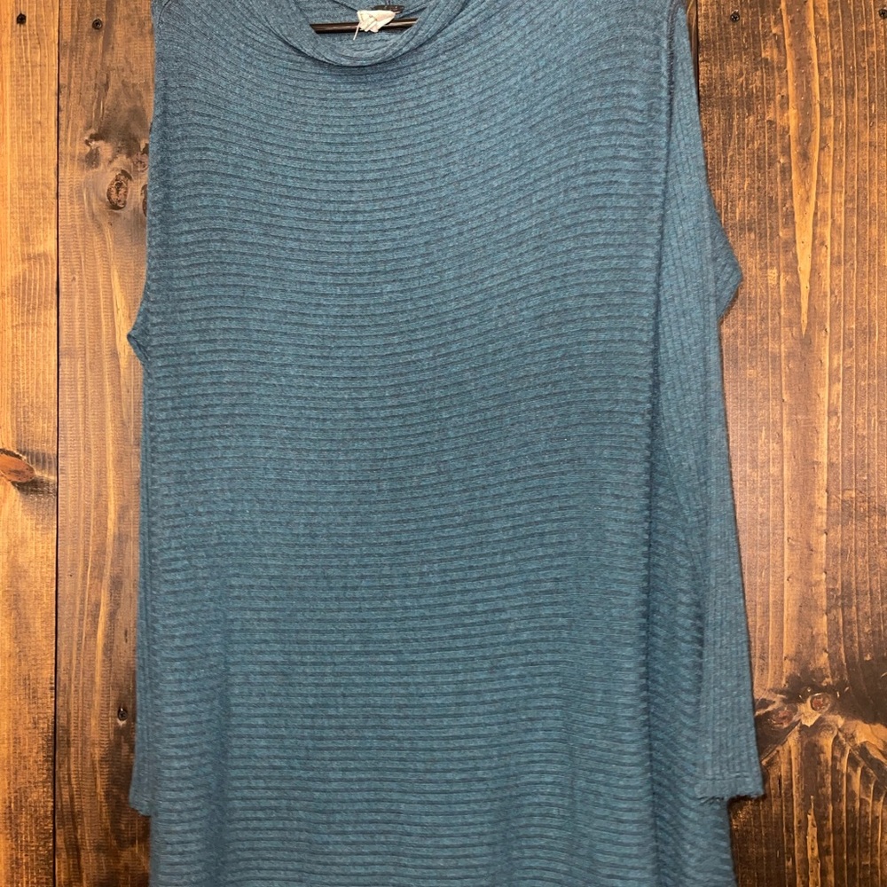 Free People, We The Free Blue Cowl Neck Sweater